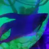 Jacob Reeder - @jacobreeder53 - TikTok
