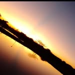 Jacob Reimer - @jacobreimer682 - Instagram
