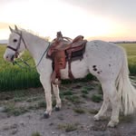 Jacob Reimer - @reimer_jacob716 - Instagram