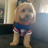 ❤️REX🐶 - @rex.jacob - TikTok