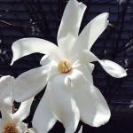 Jacob Rickabaugh - @spring_is_here_now - Instagram