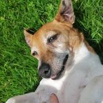 jacobridgeway - @jacobridgeway1 - Instagram