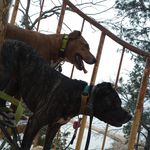 Jacob Riehl - @buckwin - Instagram