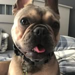Jacob Ring - @jacob.ring.7 - Instagram