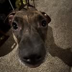 Jacob Ritchey - @littlegoober_ - Instagram