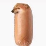Jacob Ritchey - @hrr_judchrdcj - Instagram