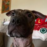 Jacob Ritchey - @fruity_nachos_ - Instagram
