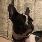 Jacob Roach - @roach5488 - Instagram