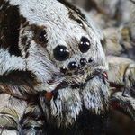 @jacob_rochon23 - Instagram