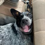 Jacob Romans - @jwr.second - Instagram