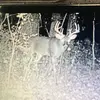 Jacob romans - @romans07yeeyee - TikTok
