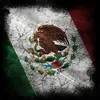Jacob roots - @jacob.roots - TikTok