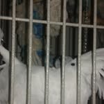 Jacob Rosenthal - @morphias_728 - Instagram