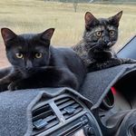 Rosie_Roxy Jacobsen - @rosie_roxyjacobsen - Instagram