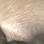 Jacob Rossiter - Facebook