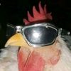 Jacob Rossiter - @bluejaytiktoks - TikTok