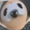 Jacob R - @jacobroyle2020 - TikTok