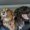 Jacob Rubin - @jacob.rubin2 - TikTok