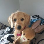 Jacob Rubin - @jacobrubin8777 - Instagram