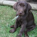 Jacob Ruda - Facebook