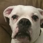 Jacob Ruger - @rugerjacob - Instagram