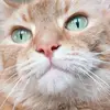 Jacob R - @jacob__ruppert - TikTok