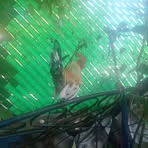 Jacob Salgado - Facebook