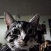 Jacob Sansom - Facebook