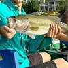 Jacob Sansom - @jacob.sansom - TikTok