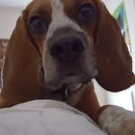 Jacob Saperstein - @marv_n_bread - Instagram