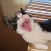 Jacob - @jacobscalf5 - TikTok