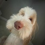 Jacob Scalf - @kumochum - Instagram