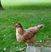 Jacob Schaeffer - Facebook