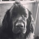 Jacob Schatzman - @schatzman_jacob - Instagram