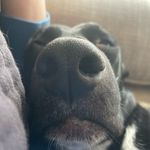 Jacob - @jacob_schauer07 - Instagram