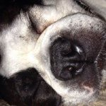Jacob Schauermann - @jacob_schauermann - Instagram