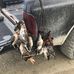 Jacob Scheideman - Facebook