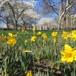 Jacob H. Schiff Playground - @jacobschiffplayground - Instagram