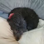 Jacob T Schiffman - @jacobtschiffman - Instagram