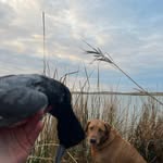Jacob  schoppe - @schoppejacob - Instagram