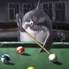 Jacob_S_05 - @jacobschott_05 - TikTok