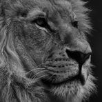 Jacob Schram - Facebook