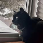 jacob scranton - @jacob.scranton - Instagram