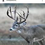 Jacob Scrivner - Facebook