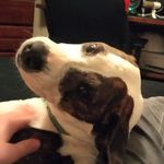 Jacob seal - @jacobseal836 - Instagram