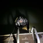 Jacob Seeber - @that_diver_jake - Instagram