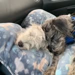 Jacob Seeman - @seeman8821 - Instagram