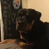 jacobsell - @jacobsell2 - TikTok