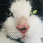 Jacob Semler - @jacobthezem - Instagram