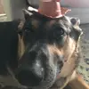 ZEMMANN - @jacobseman - TikTok